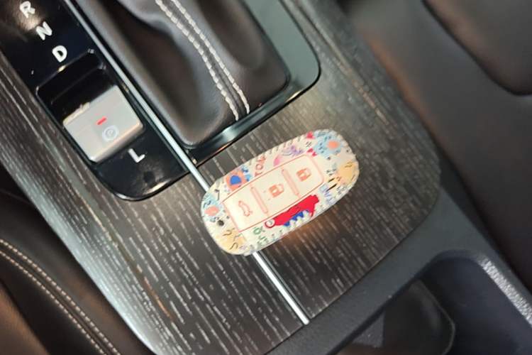 Used Venucia D60 2021 PLUS 1.6L XL CVT Yue Ling Edition Vehicle Key