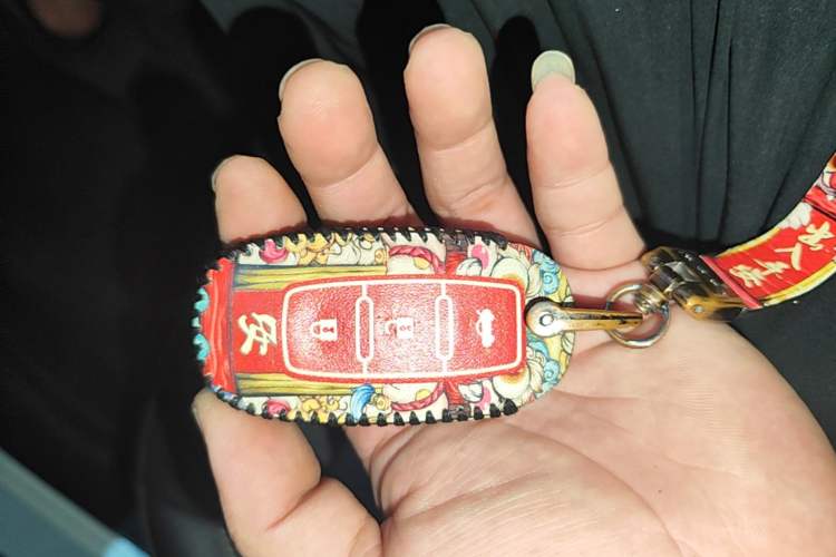 Used Venucia D60 2021 PLUS 1.6L XL CVT Yue Ling Edition Vehicle Key