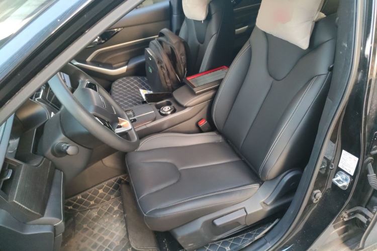 Used Venucia D60 2023 PLUS 1.6L XL CVT Yue Ling Edition Left Front Seat
