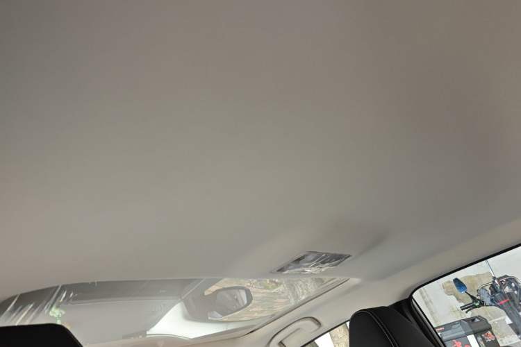 Used Venucia D60 2023 PLUS 1.6L XL CVT Yue Ling Edition Headliner