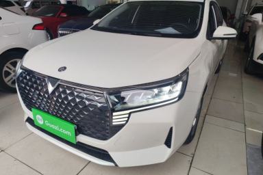 Used Venucia D60 2023 PLUS 1.6L XL CVT Yue Ling Edition