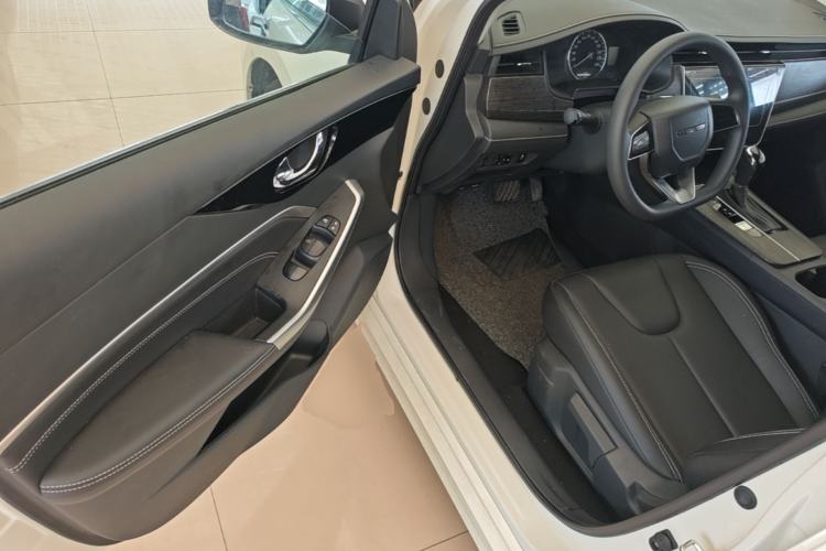 Used Venucia D60 2023 PLUS 1.6L XL CVT Yue Ling Edition Driver Seat