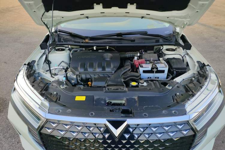 Used Venucia D60 2023 PLUS 1.6L XL CVT Yue Ling Edition Engine Bay