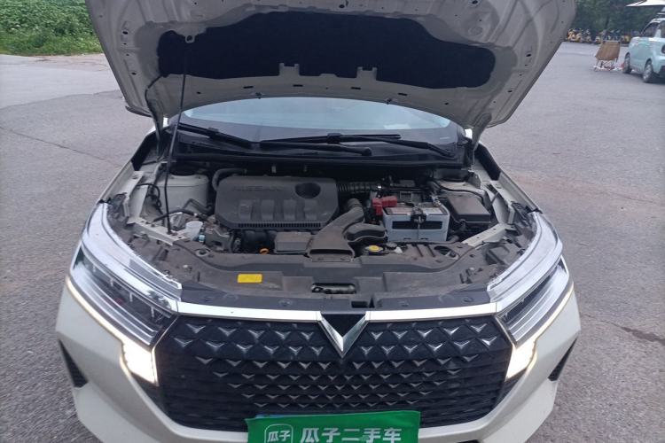 Used Venucia D60 2023 PLUS 1.6L XL CVT Yue Ling Edition Engine Bay