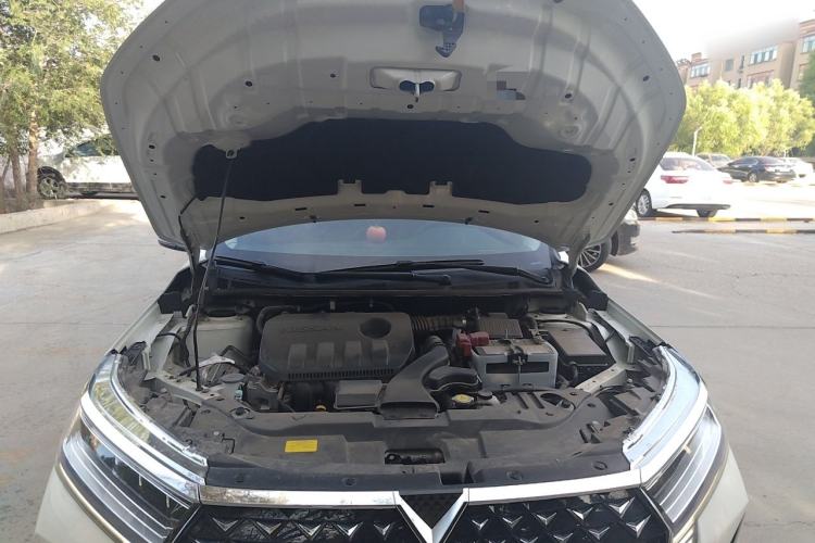 Used Venucia D60 2023 PLUS 1.6L XL CVT Yue Ling Edition Engine Bay
