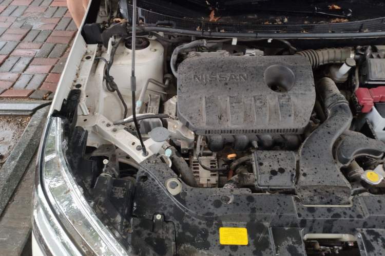 Used Venucia D60 2023 PLUS 1.6L XL CVT Yue Ling Edition Engine Bay Right