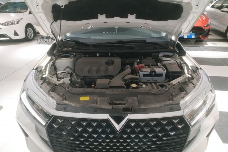Used Venucia D60 2023 PLUS 1.6L XL CVT Yue Ling Edition Engine Bay