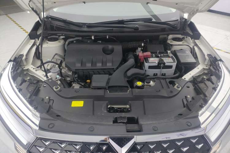 Used Venucia D60 2023 PLUS 1.6L XL CVT Yue Ling Edition Engine Bay