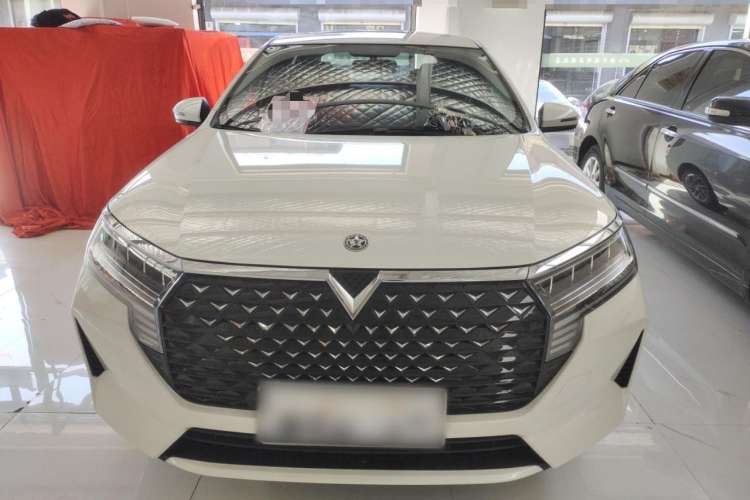 Used Venucia D60 2023 PLUS 1.6L XL CVT Yue Ling Edition Exterior 1