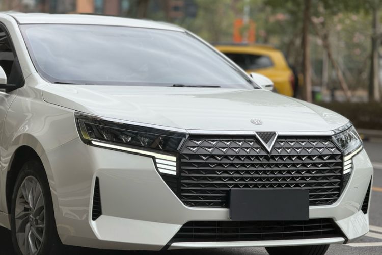 Used Venucia D60 2023 PLUS 1.6L XL CVT Yue Ling Edition Exterior 4