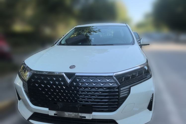 Used Venucia D60 2023 PLUS 1.6L XE CVT Trendy Edition Front