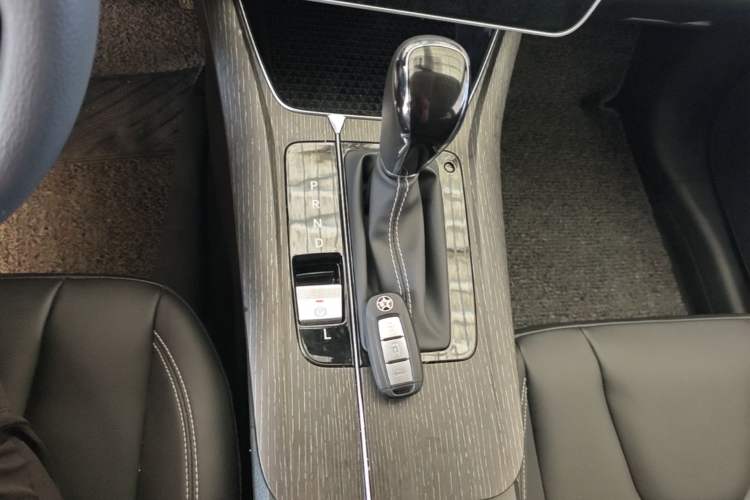 Used Venucia D60 2023 PLUS 1.6L XL CVT Yue Ling Edition Gear Lever