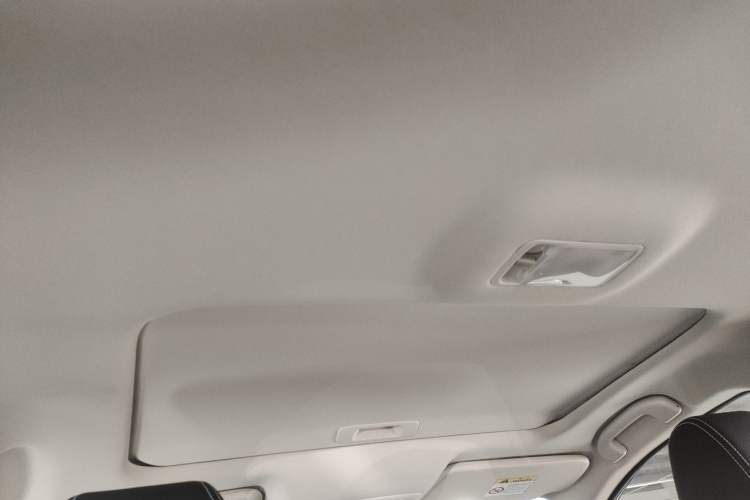 Used Venucia D60 2023 PLUS 1.6L XL CVT Yue Ling Edition Headliner