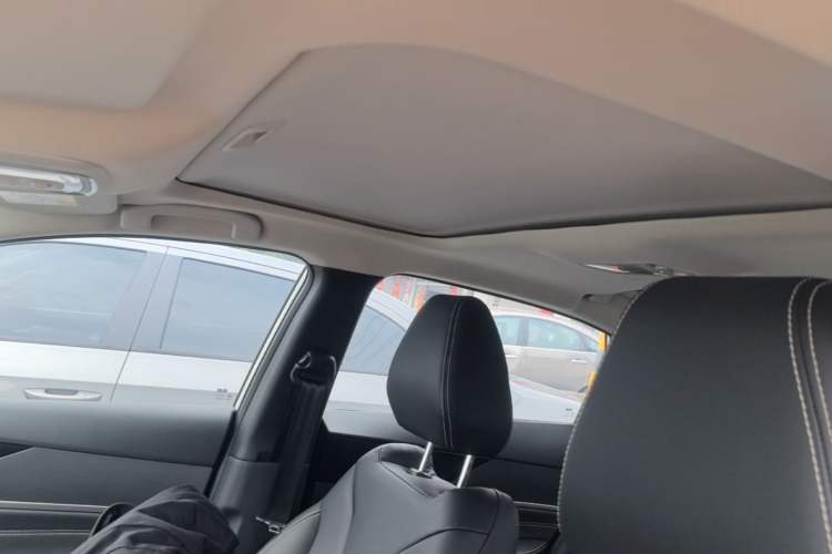 Used Venucia D60 2023 PLUS 1.6L XL CVT Yue Ling Edition Headliner