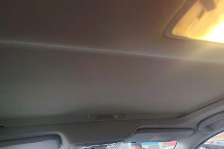 Used Venucia D60 2023 PLUS 1.6L XL CVT Yue Ling Edition Headliner