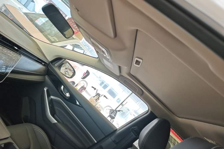 Used Venucia D60 2023 PLUS 1.6L XL CVT Yue Ling Edition Headliner
