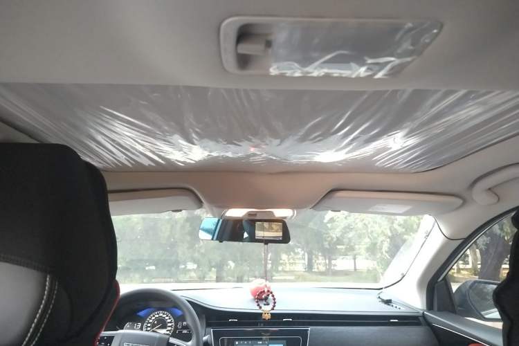 Used Venucia D60 2023 PLUS 1.6L XL CVT Yue Ling Edition Headliner
