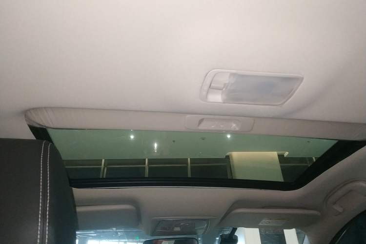 Used Venucia D60 2023 PLUS 1.6L XL CVT Yue Ling Edition Headliner