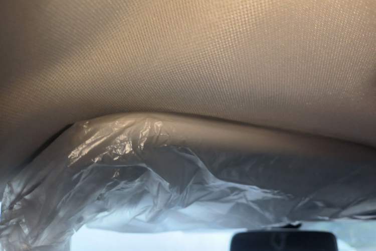 Used Venucia D60 2023 PLUS 1.6L XL CVT Yue Ling Edition Headliner