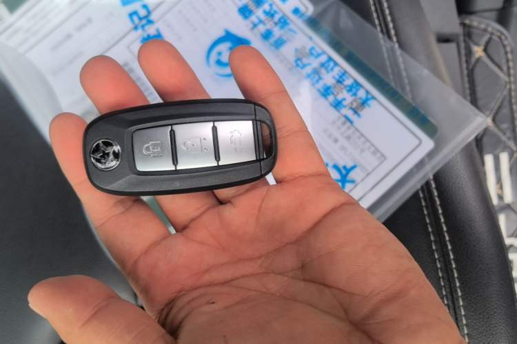 Used Venucia D60 2023 PLUS 1.6L XL CVT Yue Ling Edition Interior 1