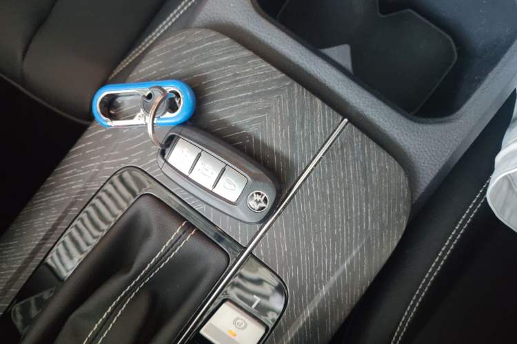 Used Venucia D60 2023 PLUS 1.6L XL CVT Yue Ling Edition Interior 1