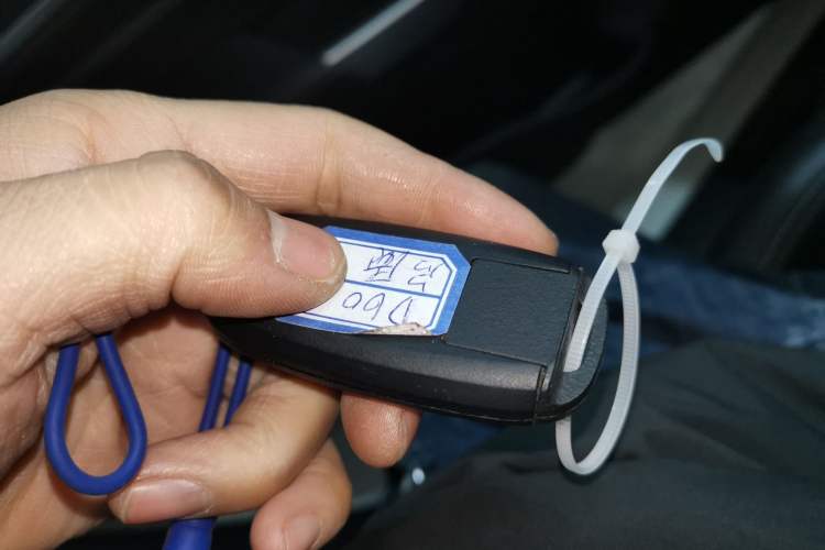 Used Venucia D60 2023 PLUS 1.6L XL CVT Yue Ling Edition Interior 1