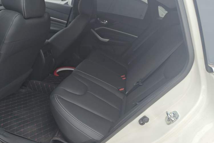 Used Venucia D60 2023 PLUS 1.6L XL CVT Yue Ling Edition Interior 1