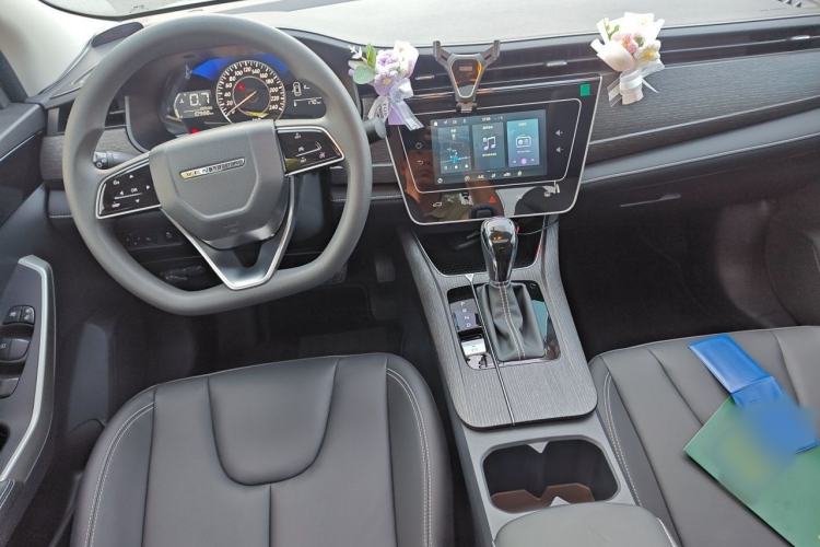 Used Venucia D60 2023 PLUS 1.6L XL CVT Yue Ling Edition Interior 2