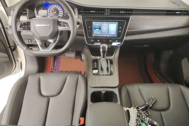 Used Venucia D60 2023 PLUS 1.6L XL CVT Yue Ling Edition Interior 3
