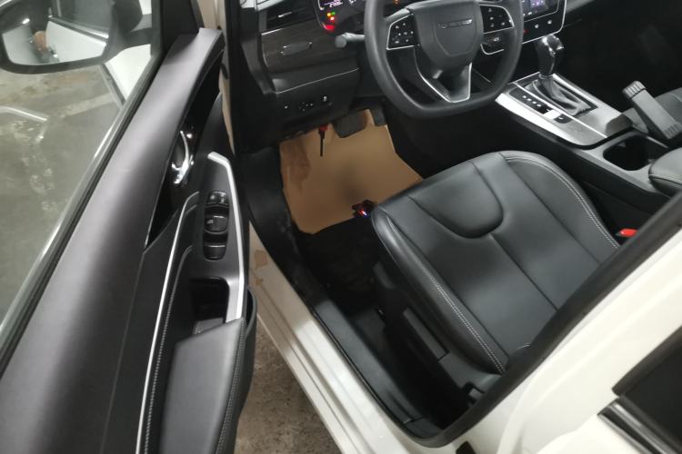 Used Venucia D60 2023 PLUS 1.6L XL CVT Yue Ling Edition Interior 3