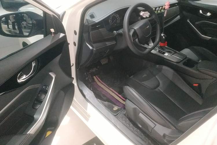 Used Venucia D60 2023 PLUS 1.6L XL CVT Yue Ling Edition Interior 3
