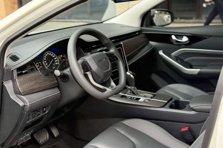 Used Venucia D60 2023 PLUS 1.6L XL CVT Yue Ling Edition Interior 4