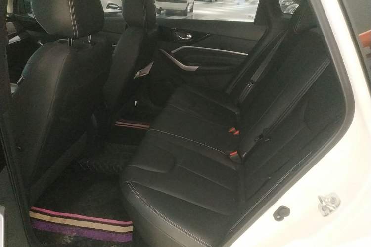 Used Venucia D60 2023 PLUS 1.6L XL CVT Yue Ling Edition Interior 4