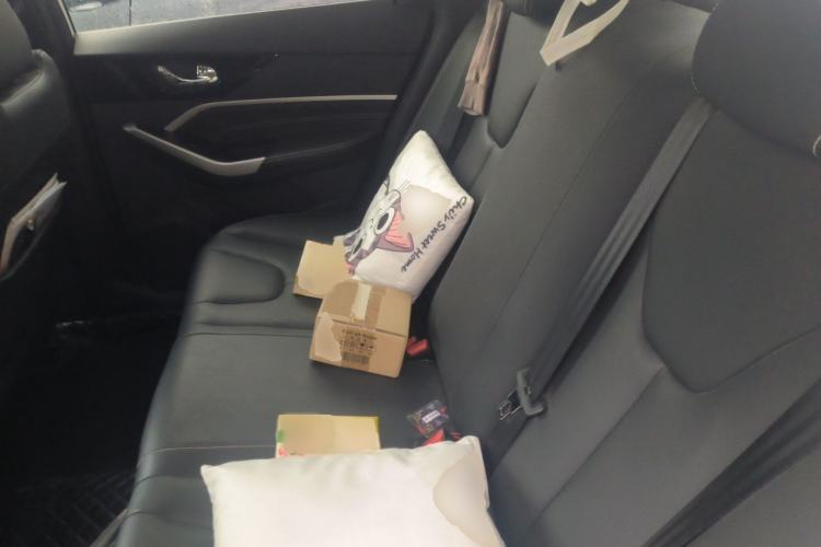 Used Venucia D60 2023 PLUS 1.6L XL CVT Yue Ling Edition Interior 4