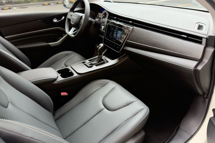 Used Venucia D60 2023 PLUS 1.6L XL CVT Yue Ling Edition Interior 5