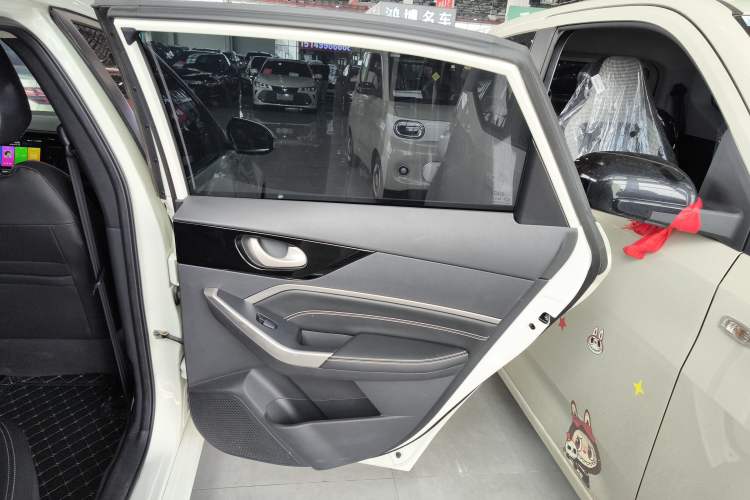 Used Venucia D60 2023 PLUS 1.6L XE CVT Trendy Edition Interior 6