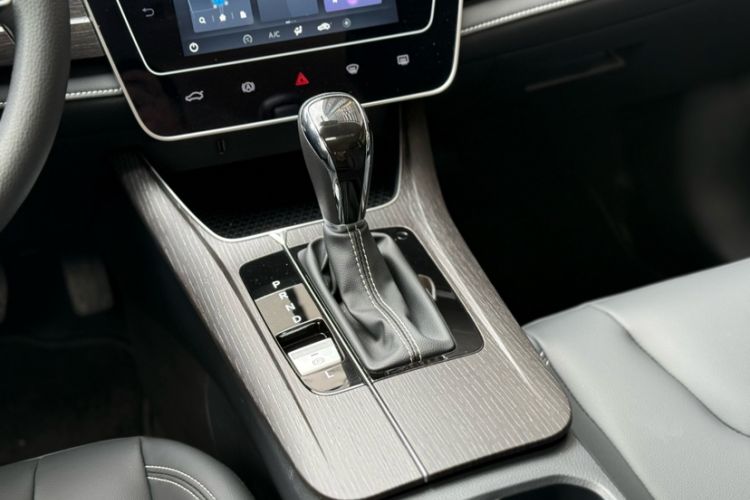 Used Venucia D60 2023 PLUS 1.6L XL CVT Yue Ling Edition Interior 8