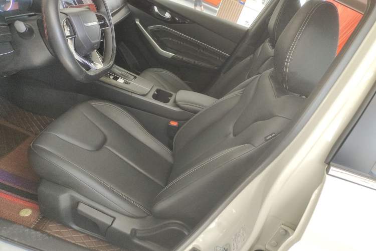Used Venucia D60 2023 PLUS 1.6L XL CVT Yue Ling Edition Left Front Seat
