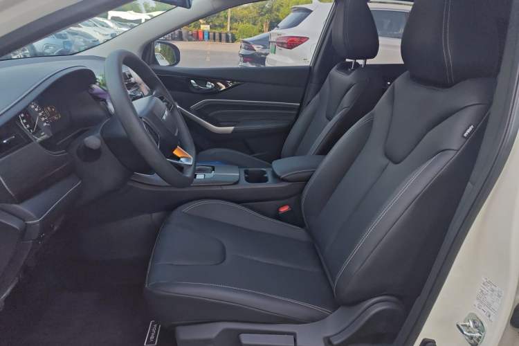 Used Venucia D60 2023 PLUS 1.6L XL CVT Yue Ling Edition Left Front Seat