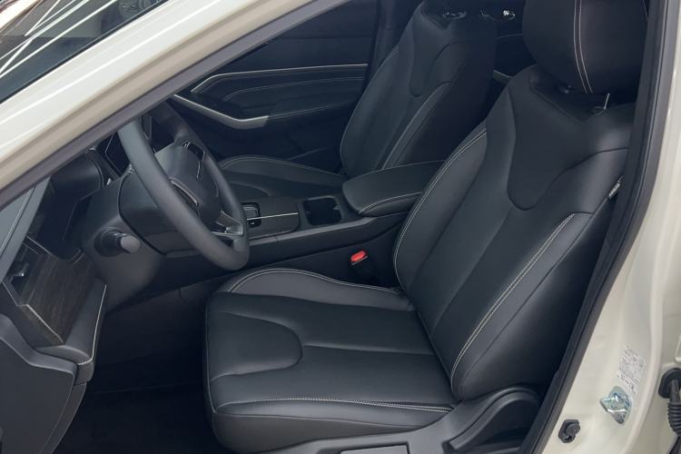 Used Venucia D60 2023 PLUS 1.6L XL CVT Yue Ling Edition Left Front Seat