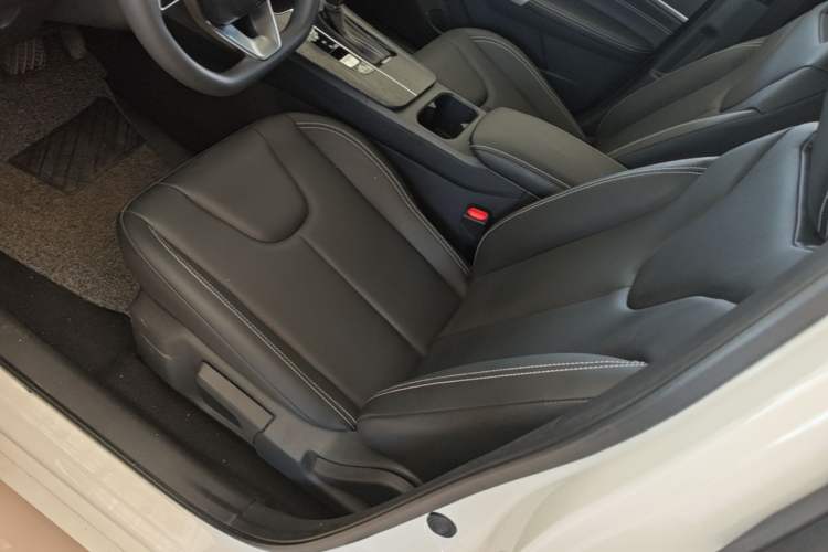 Used Venucia D60 2023 PLUS 1.6L XL CVT Yue Ling Edition Left Front Seat