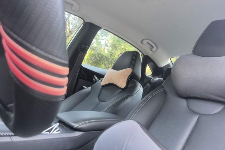 Used Venucia D60 2023 PLUS 1.6L XE CVT Trendy Edition Left Front Seat