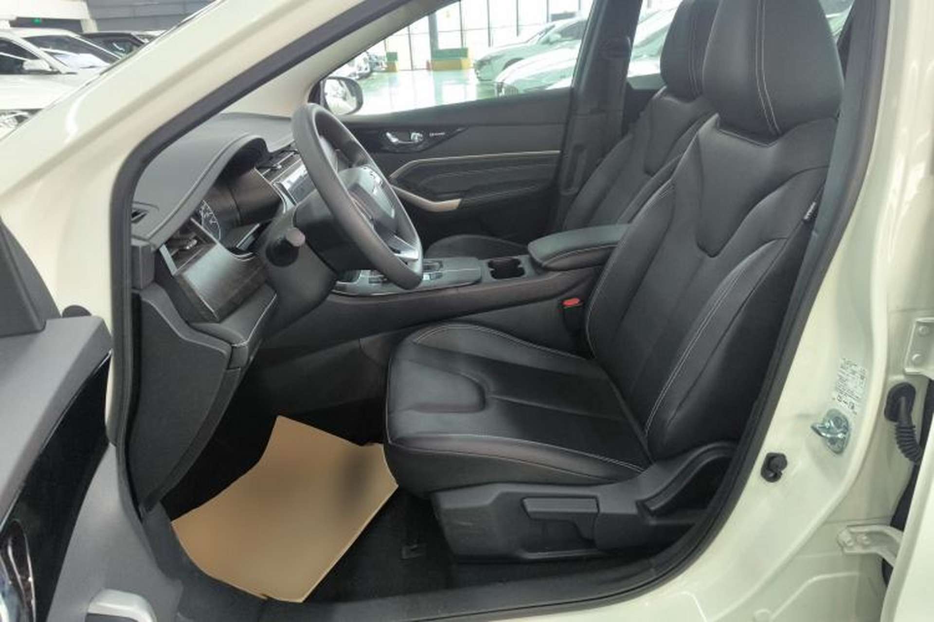 Used Venucia D60 2023 PLUS 1.6L XL CVT Yue Ling Edition Left Front Seat