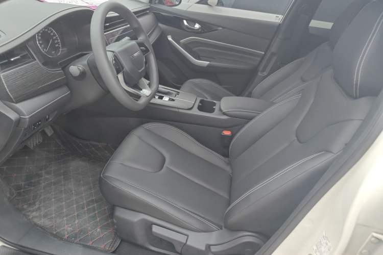 Used Venucia D60 2023 PLUS 1.6L XL CVT Yue Ling Edition Left Front Seat