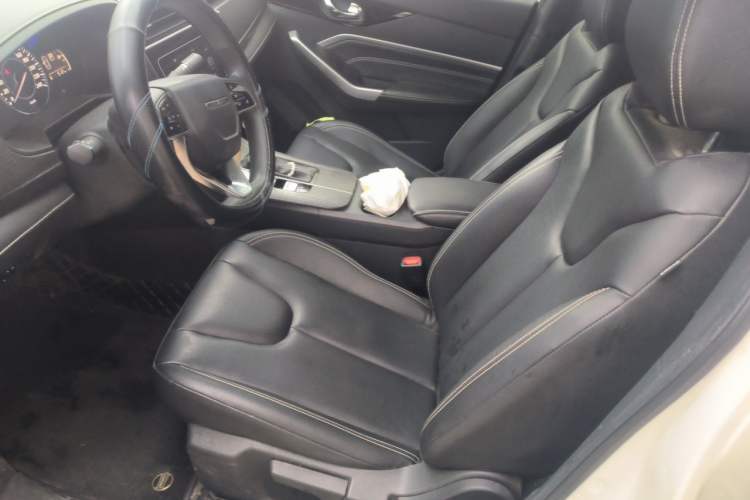 Used Venucia D60 2023 PLUS 1.6L XL CVT Yue Ling Edition Left Front Seat