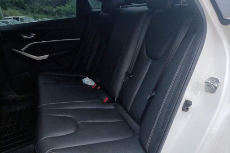 Used Venucia D60 2023 PLUS 1.6L XL CVT Yue Ling Edition Left Rear Seat