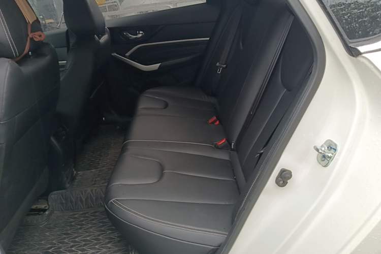 Used Venucia D60 2023 PLUS 1.6L XL CVT Yue Ling Edition Left Rear Seat