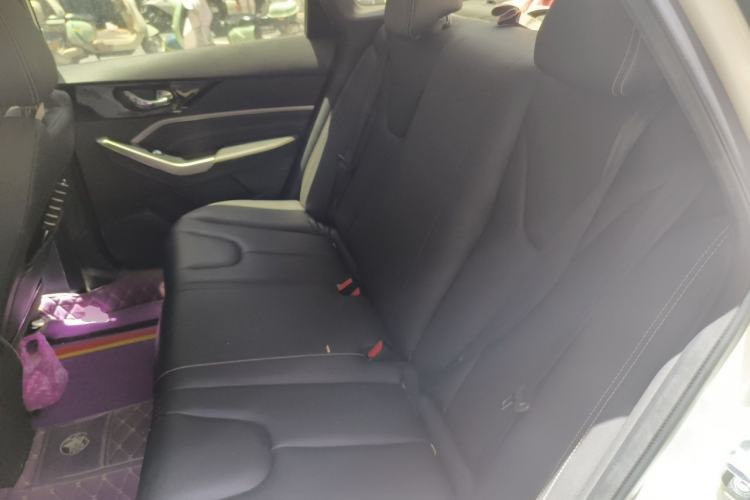 Used Venucia D60 2023 PLUS 1.6L XL CVT Yue Ling Edition Left Rear Seat