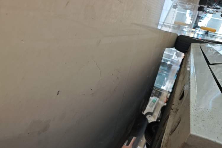 Used Venucia D60 2023 PLUS 1.6L XL CVT Yue Ling Edition Left Side Sill