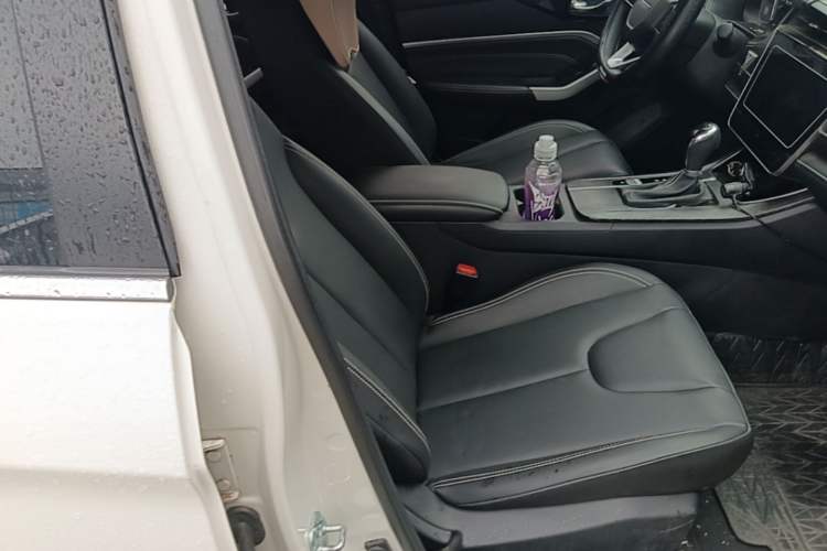 Used Venucia D60 2023 PLUS 1.6L XL CVT Yue Ling Edition Right Front Seat